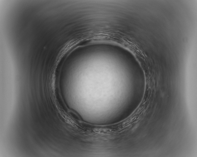 X0000116640242200912211010