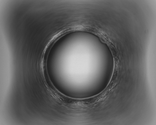 X0000116640244200912211010