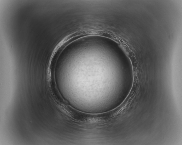 X0000116640246200912211010