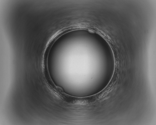 X0000116640248200912211010