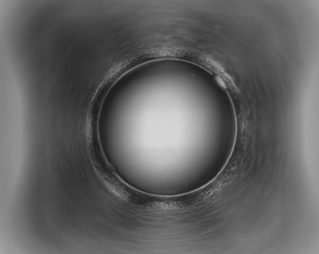 X0000116640250200912211010