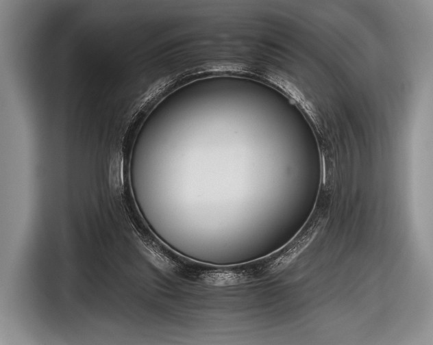 X0000116640253200912211011