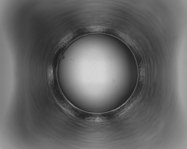 X0000116640254200912211011