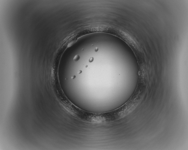 X0000116640258200912211011