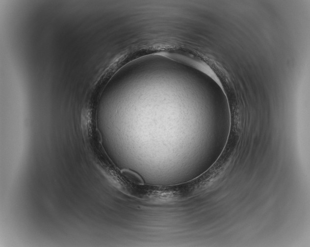 X0000116640260200912211011