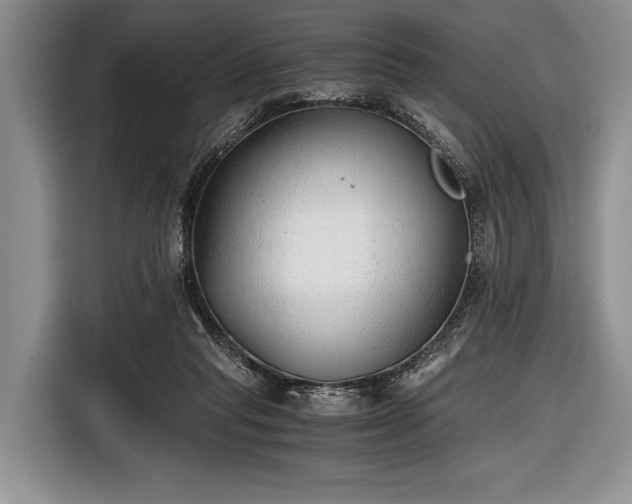 X0000116640261200912211011