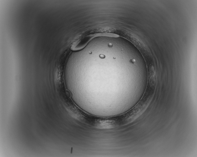 X0000116640268200912211011