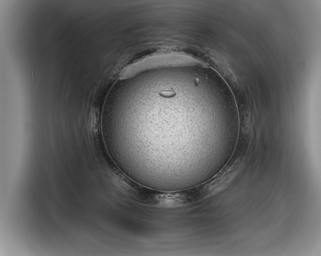 X0000116640273200912211011