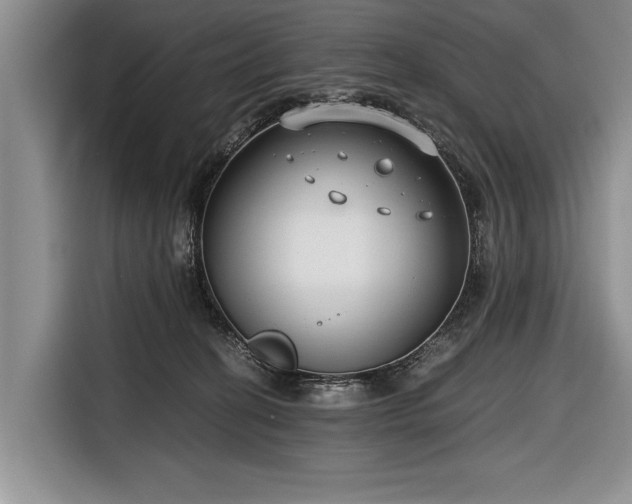 X0000116640274200912211011