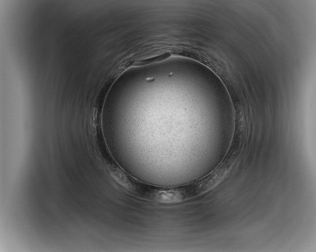 X0000116640275200912211011