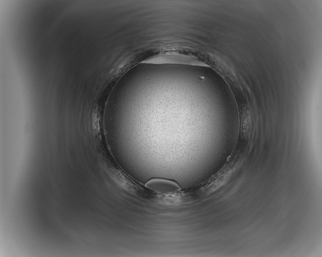 X0000116640282200912211011