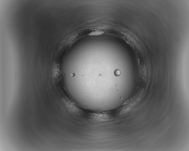 X0000116640284200912211011