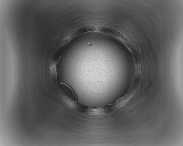 X0000116640286200912211011