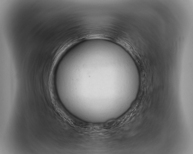 X0000116640289200912211010