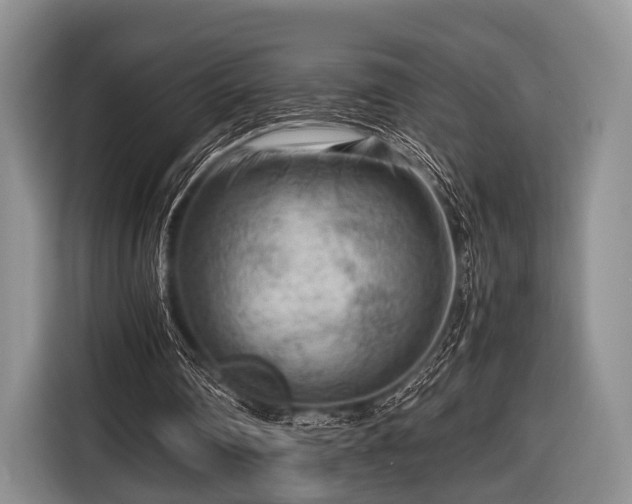 X0000116640290200912211010