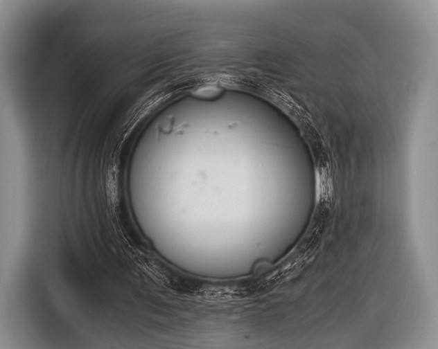 X0000116640291200912211010