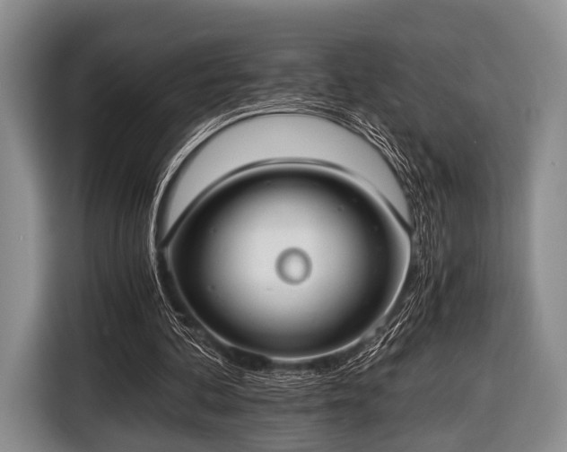 X0000116640292200912211010