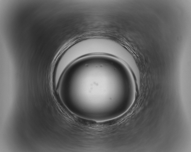 X0000116640293200912211010