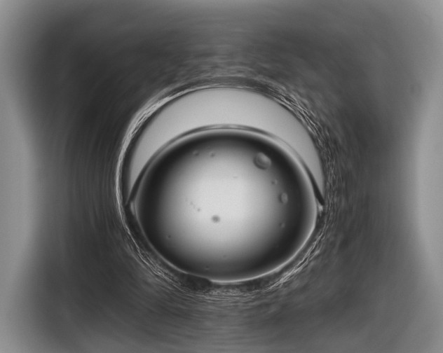 X0000116640294200912211010