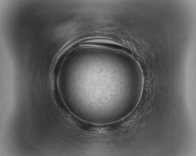 X0000116640295200912211010