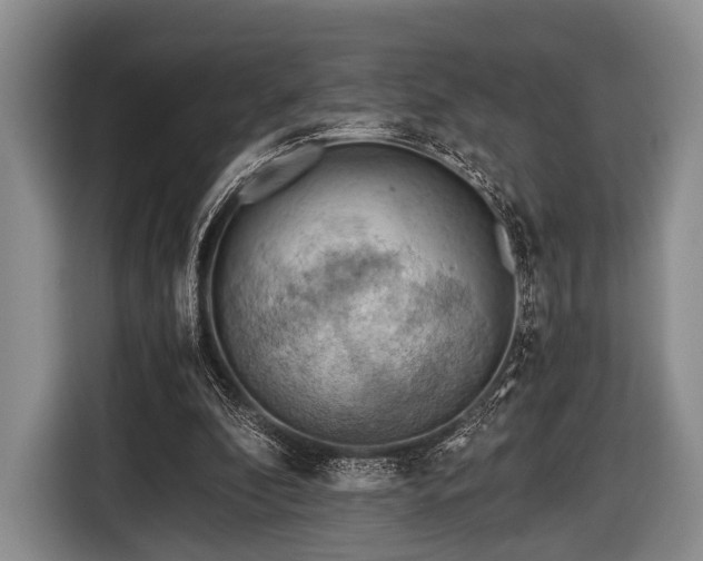 X0000116640296200912211010