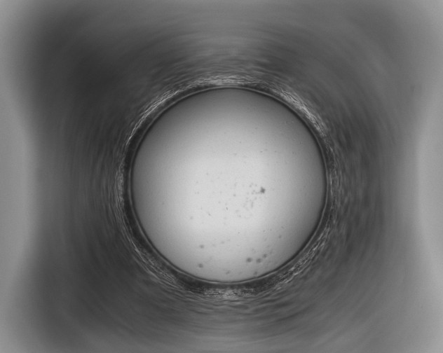 X0000116640297200912211010