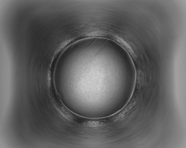 X0000116640298200912211010