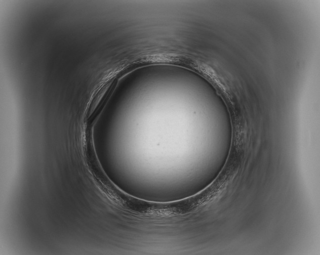 X0000116640299200912211010