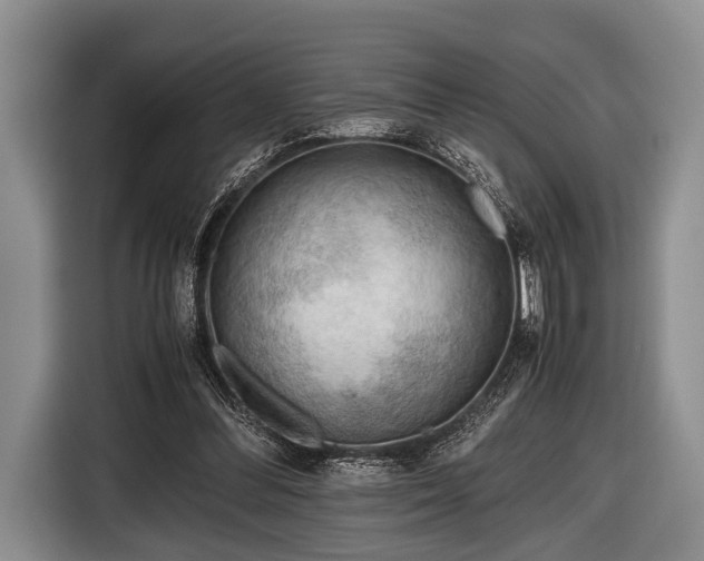 X0000116640300200912211010