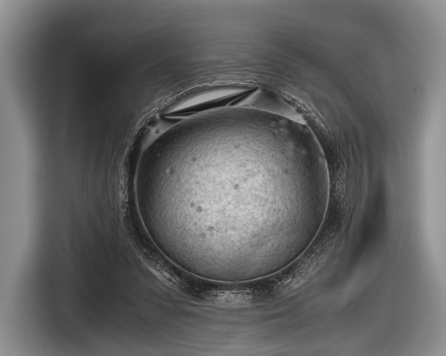 X0000116640303200912211010