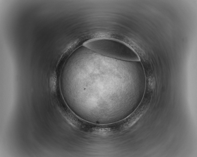 X0000116640304200912211010