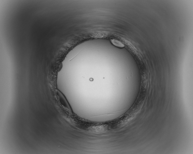 X0000116640307200912211010