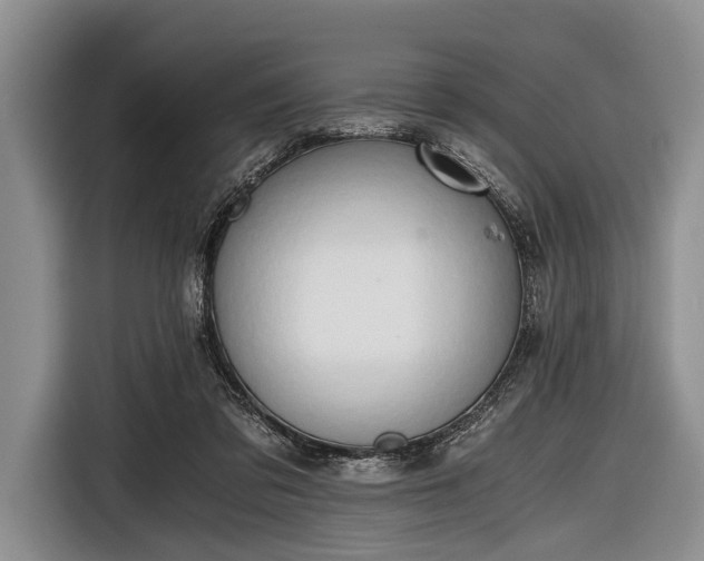 X0000116640309200912211010