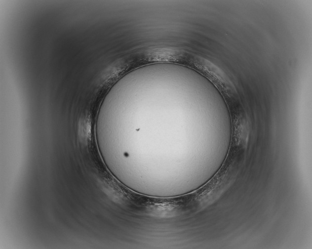 X0000116640310200912211010