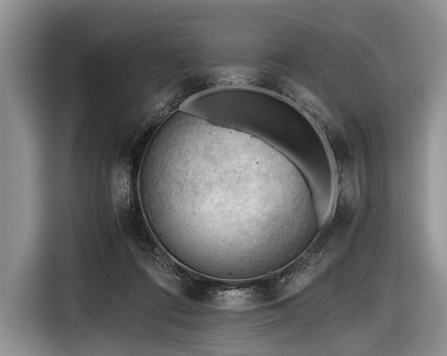 X0000116640312200912211010