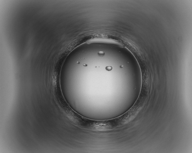 X0000116640315200912211010