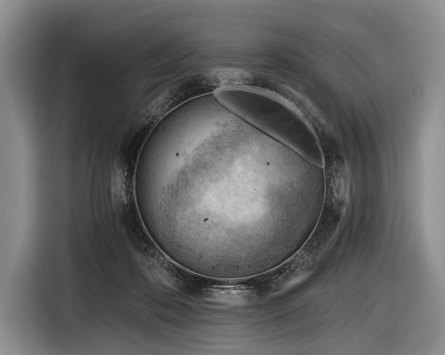 X0000116640316200912211010