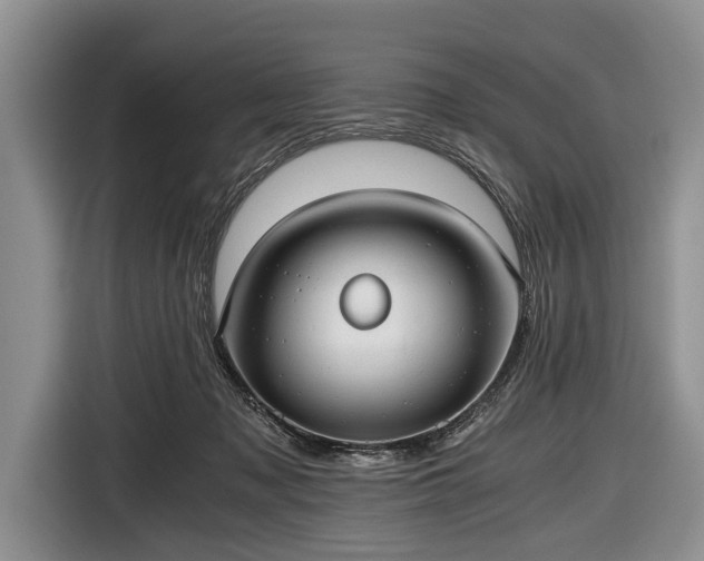 X0000116640317200912211010