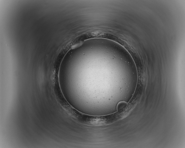 X0000116640319200912211010