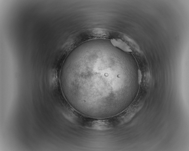 X0000116640320200912211010