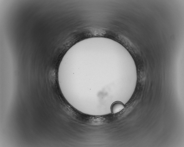 X0000116640321200912211010