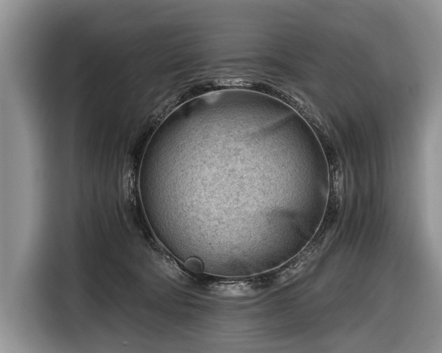 X0000116640322200912211010