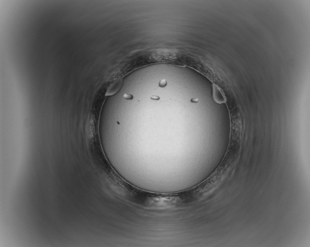 X0000116640323200912211010