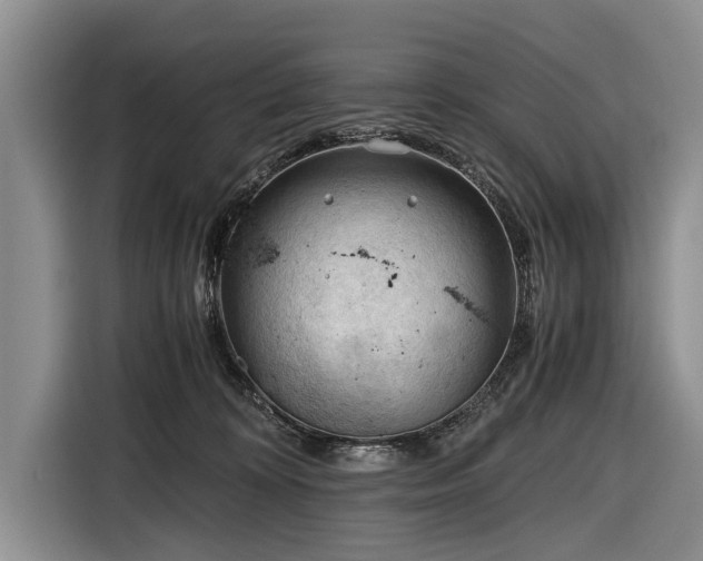 X0000116640324200912211010