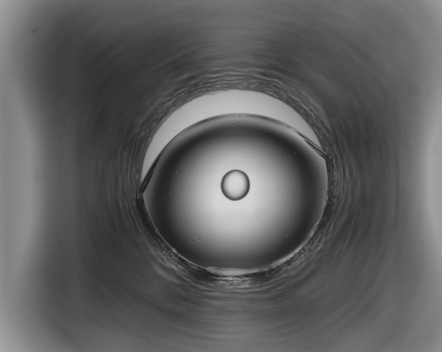 X0000116640328200912211009