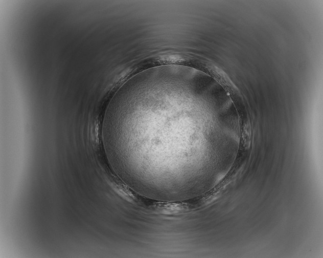 X0000116640330200912211009