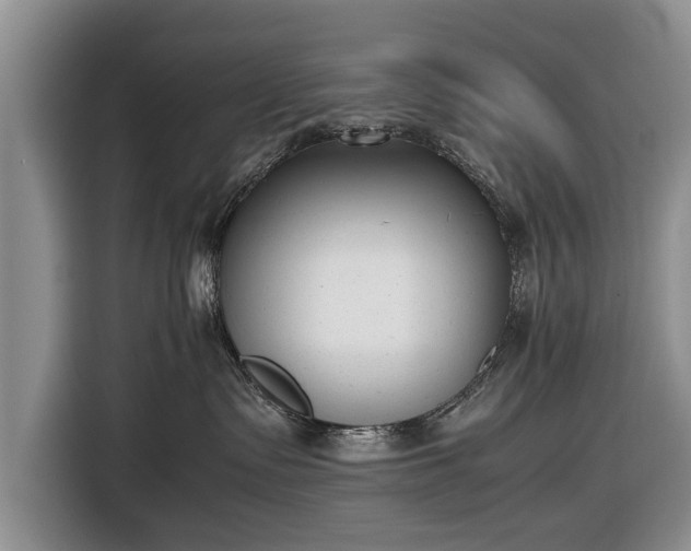 X0000116640335200912211009