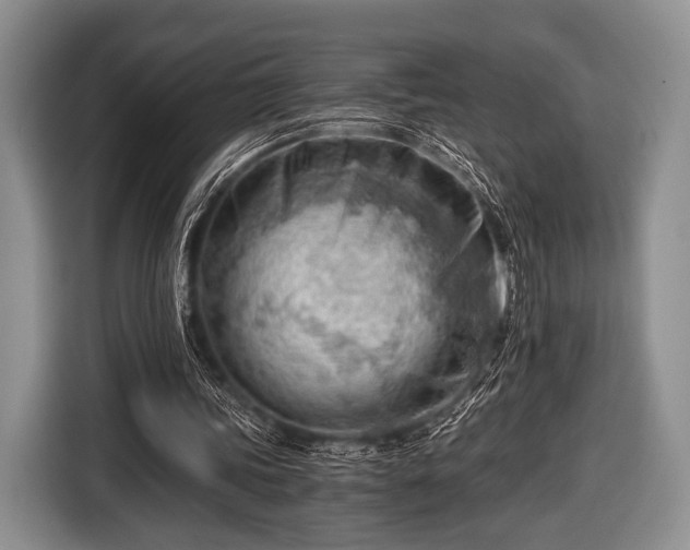 X0000116640339200912211008