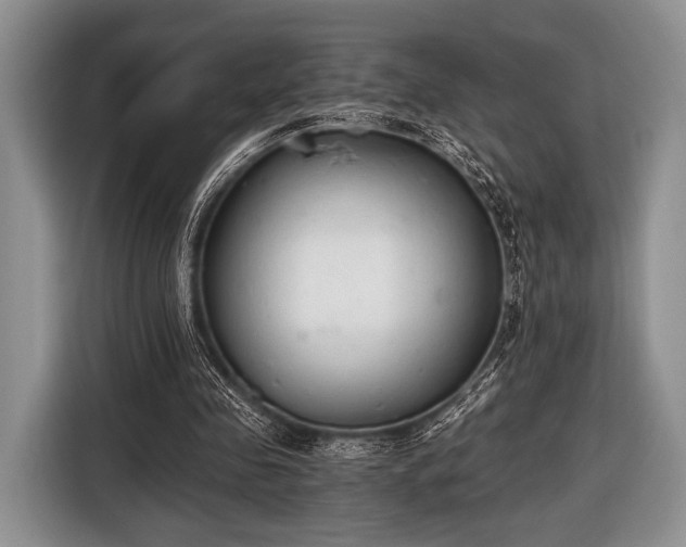 X0000116640341200912211009