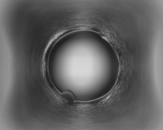 X0000116640342200912211009